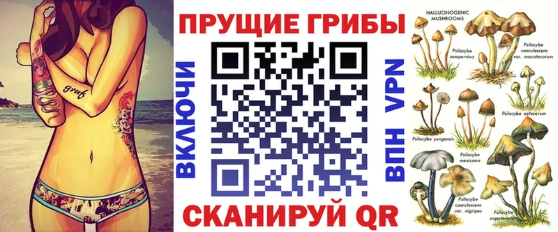Купить закладки  Среднеуральск  Псилоцибиновые грибы прущие грибы 